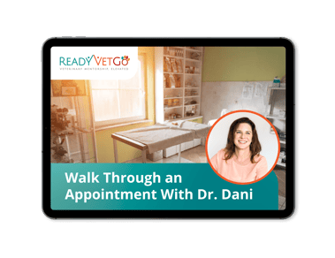 walkthrough-with-doc-dani