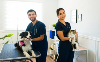 Private or Corporate Practice? How to Find What’s Right for You
