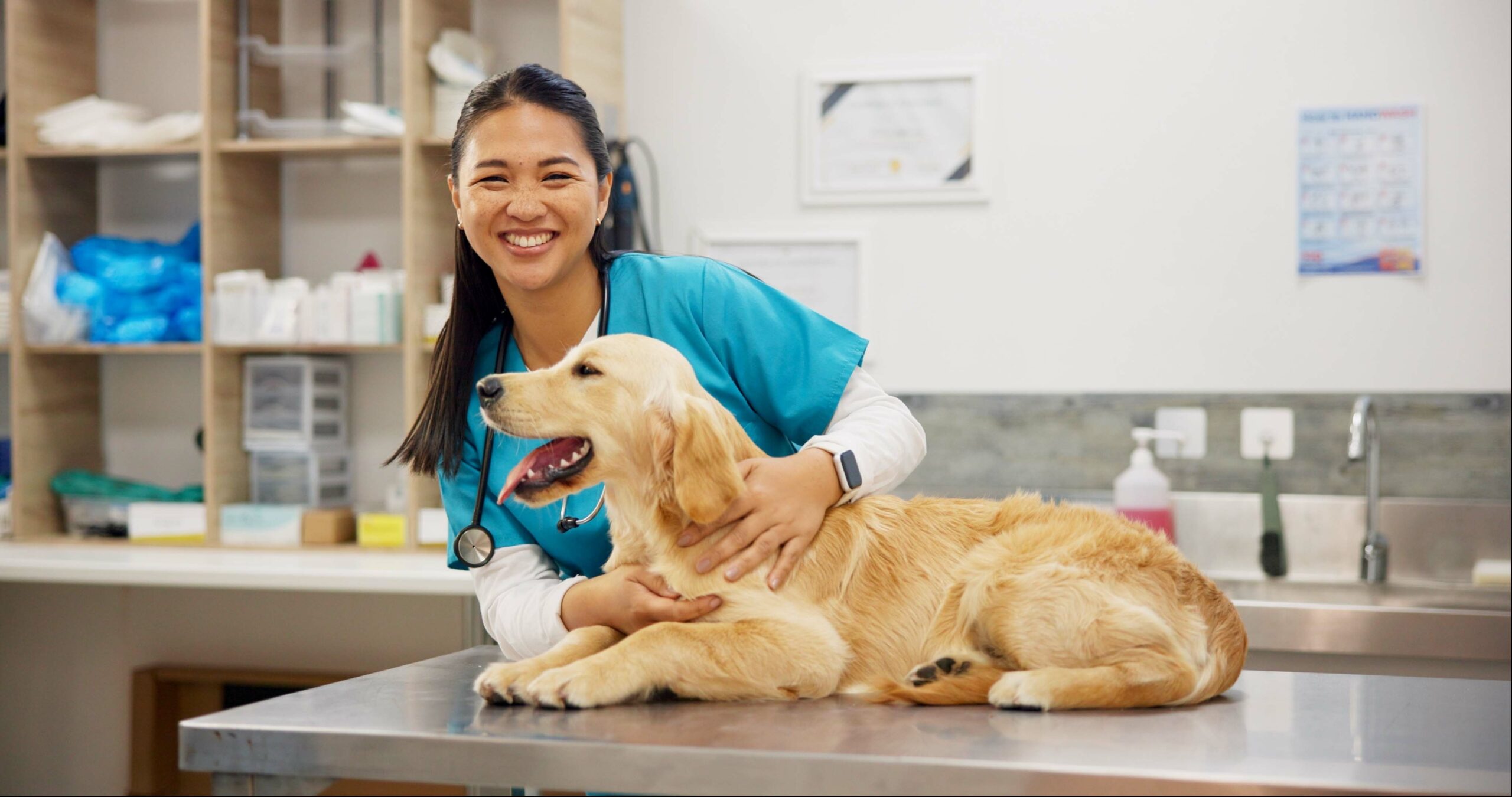Happy,Woman,,Portrait,And,Veterinarian,With,Dog,For,Animal,Checkup, Doctor reaching hand out to shake