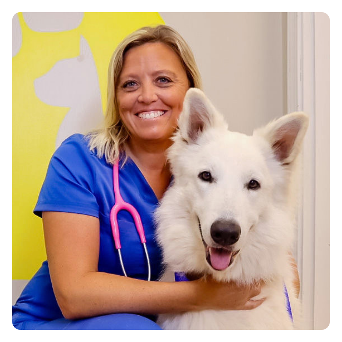 Megan Sprinkle, DVM, DACVIM