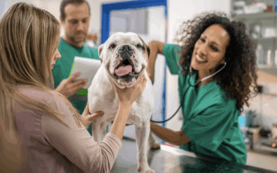 Cultivating Confidence: Small Gestures, Big Impact