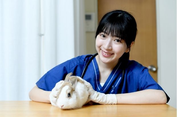 a vet staff gently holds a rabbit