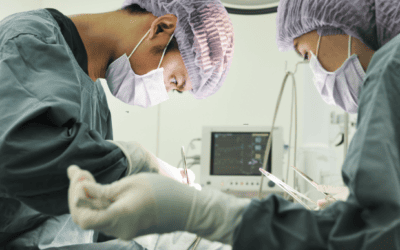 What New Veterinarians Need to Take Risks: A Mentor Who Has Your Back